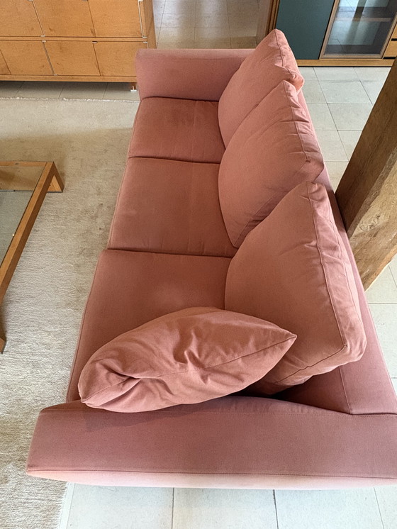 Image 1 of Divano Minotti rosa salmone