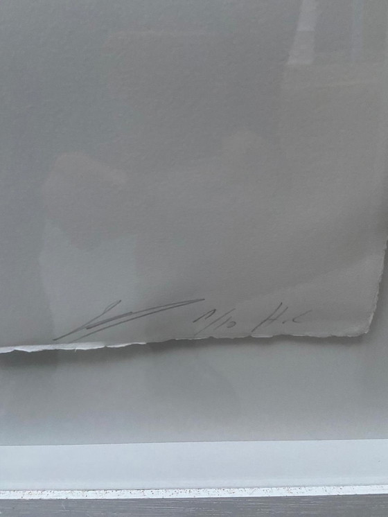 Image 1 of Fiche diagnostique de Luc Tuymans