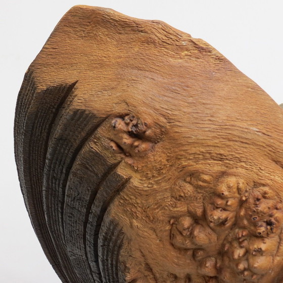 Image 1 of Wandsculptuur van wortelnotenhout handgemaakt door Mike Scott Chai
