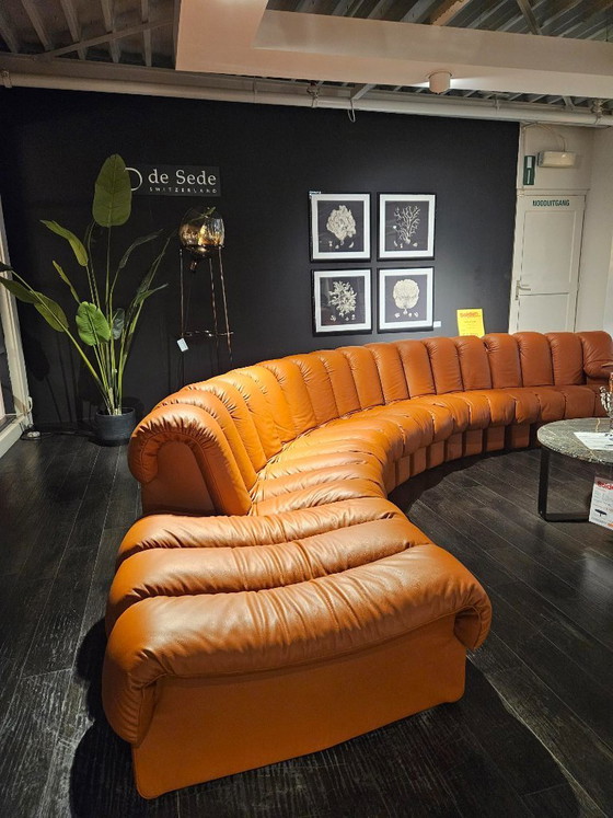 DeSede DS-600 Snake – Designikone in außergewöhnlich gutem Zustand! – de Sede, Ecksofas, Leather (photo 5 of 5)
