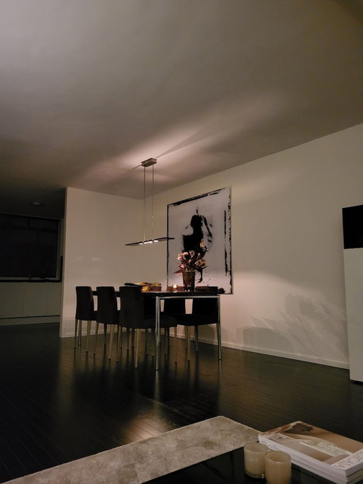 Gaby  plexiglas schilderij 