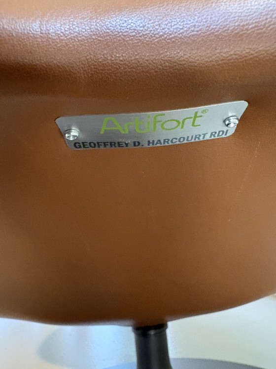 Image 1 of Artifort F510 High Version Pelle ElmoSoft