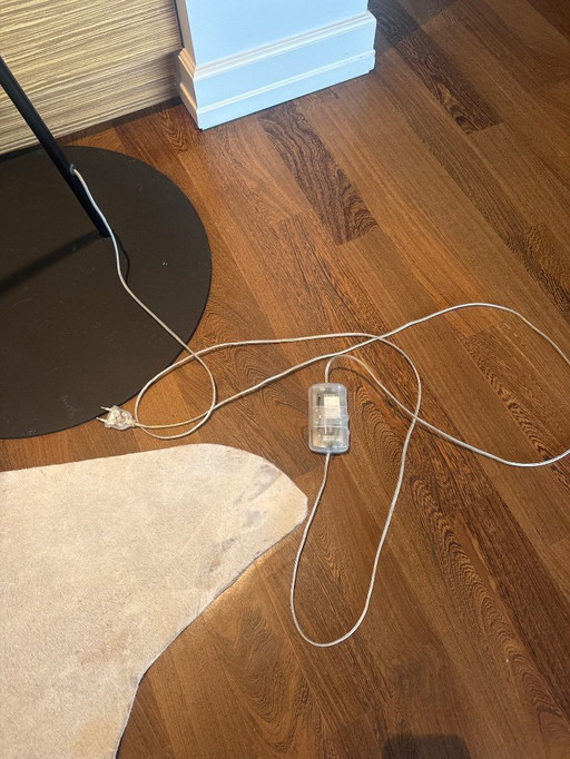 Originale Twiggy-Lampe von Foscarini