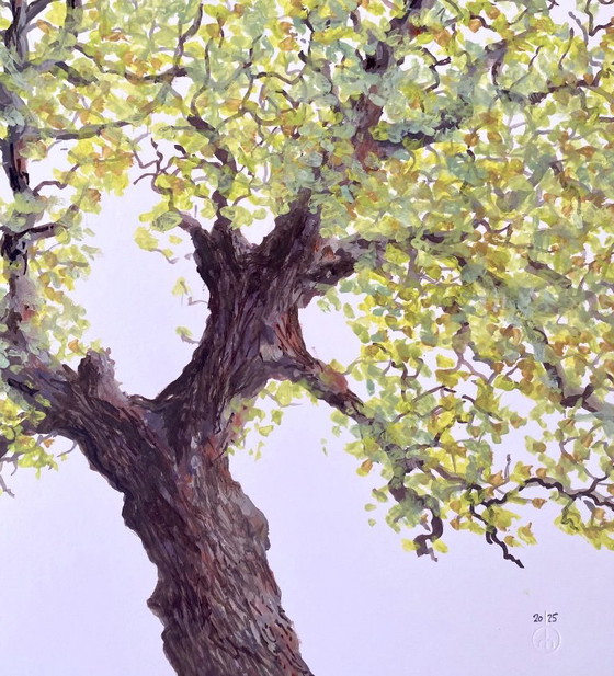 Young Green – Peintures et dessins, Paper (photo 4 of 6)