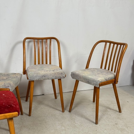 Image 1 of Jitona Tsjechoslowaakse eetkamerstoelen, jaren 60 – set van 4