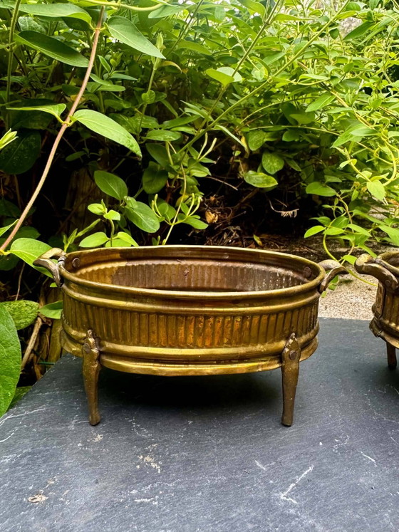 2 Macetas de latón Art Nouveau – Brass (photo 7 of 8)