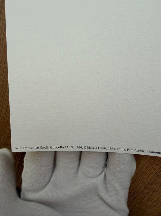 Image 1 of Domenico Gnoli (1933-1970), Girocollo 15 1/2, 1966, copyright Marzia Gnoli, 1994... Printed in the Netherlands, Large format