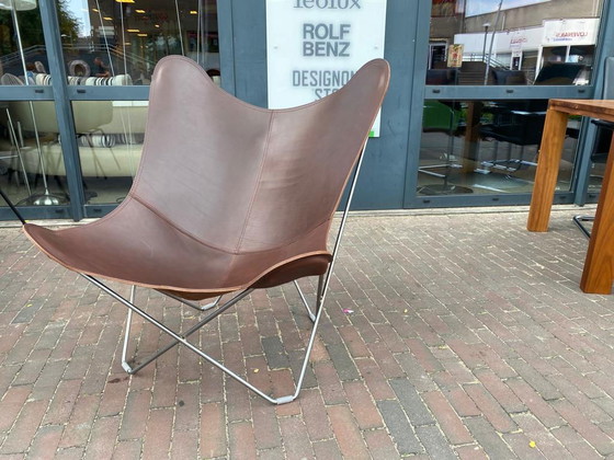 Image 1 of Cuero Mariposa Pampa