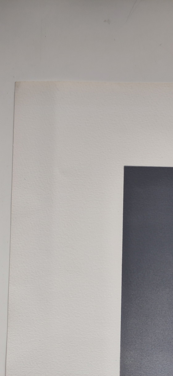 Image 1 of Gelimiteerde lithografie Vrijheidsbeeld van Michel Dubrel