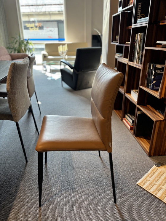 Image 1 of 6x Esszimmerstuhl Ascot von Brand Jori