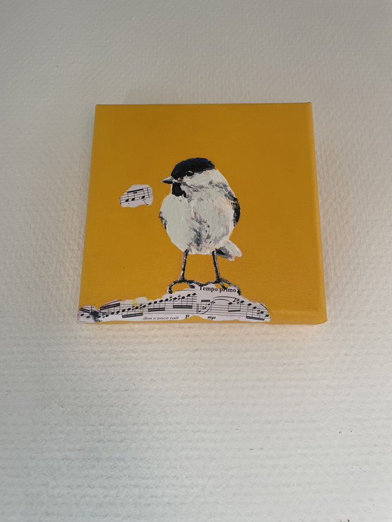 Image 1 of Portret Van Een Matkopmees