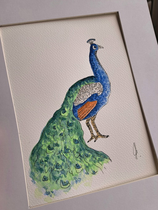 Original watercolor peacock in frame