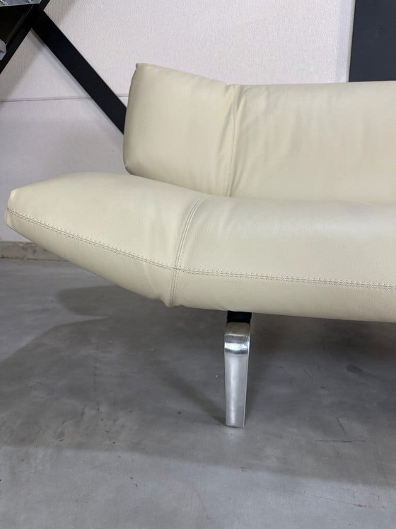 Divano Leolux Devon 2,5 posti - Pelle Wapiti Alba – Divani 2 posti, polished steel (photo 7 of 10)