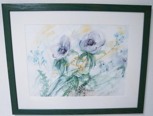 Watercolor ANEMOON by C. ten Kaate - damage free !
