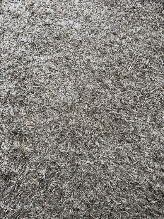 Image 1 of Kasthal vloerkleed 380x550 cm