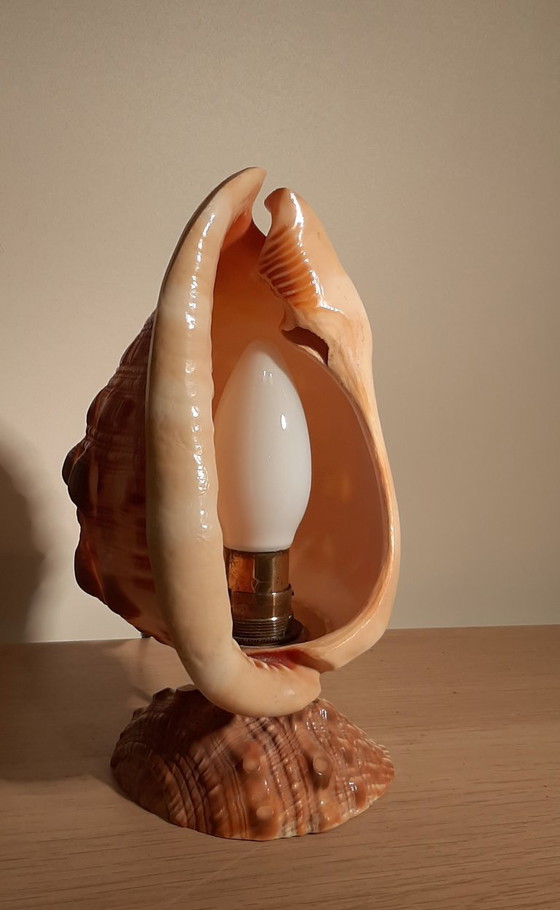 Image 1 of Cameo shell shade. Schelp tafellamp  jaren 20/30