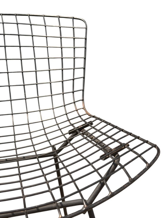Image 1 of Ensemble authentique de 4 chaises Harry Bertoia Wire pour Knoll - Acier et coussins d'origine