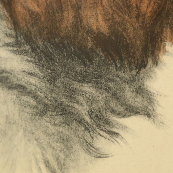 Image 1 of Large Color Lithograph Leon Danchin