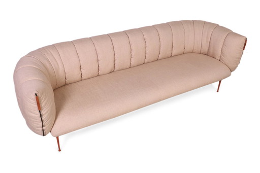 Il pesce palla si siede