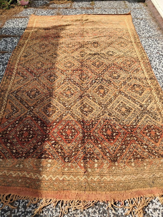 Image 1 of Handgeknoopt Berber kleed wol 267x166cm