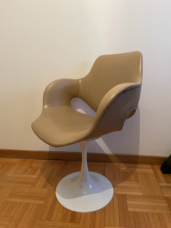 Image 1 of Ensemble de 2 chaises Tulipe - designer inconnu