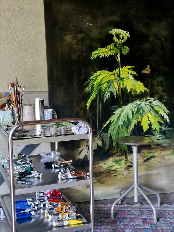 Image 1 of Botanical painting Cow Parsnip