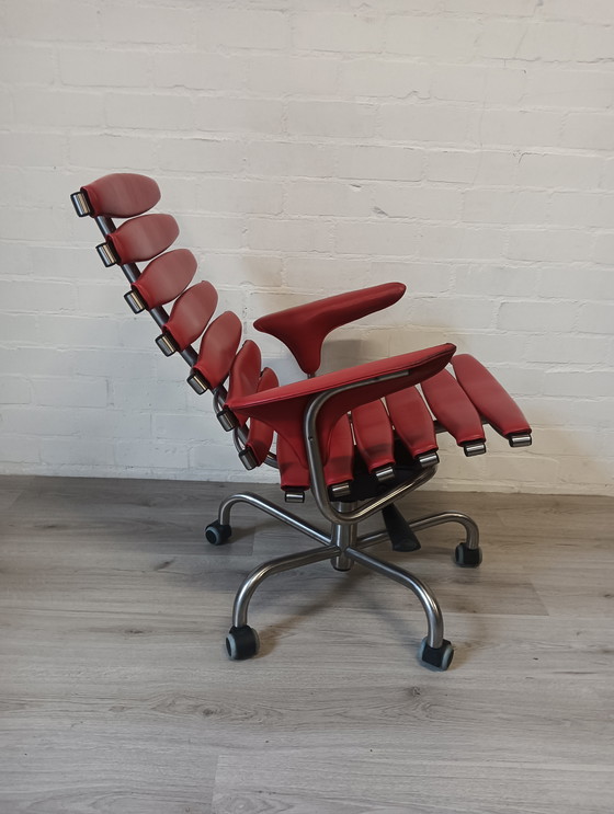 Image 1 of De Sede DS-2100 Skeleton