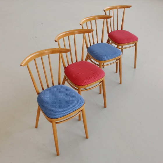 Image 1 of Een paar stoelen uit het midden van de 20e eeuw, Tsjecho-Slowakije, volledig gerestaureerd en opnieuw bekleed, vintage jaren 60.