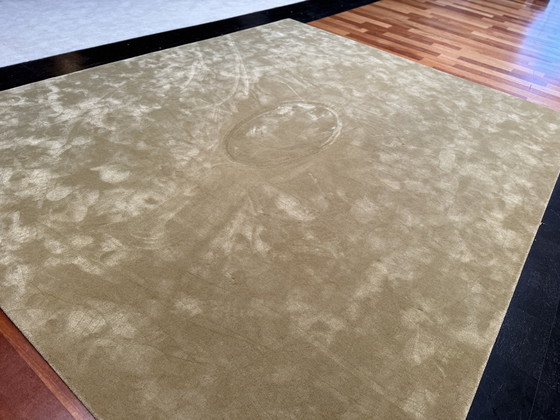 Image 1 of Mostrar modelo Alfombra Besouw 310x390