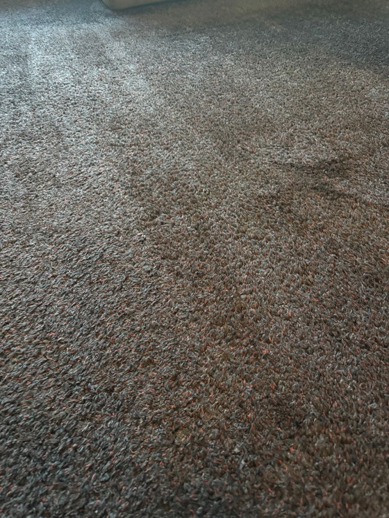 Image 1 of CS rugs 100% wool high-quality carpet 260x260