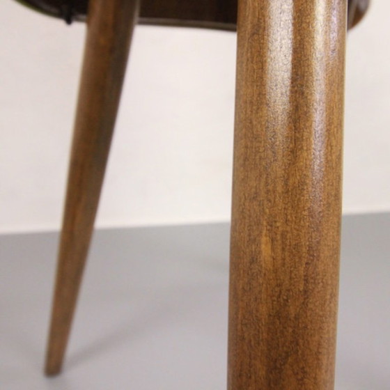 Image 1 of 4x Chaises Tatra "Spring Grass" (herbe de printemps)