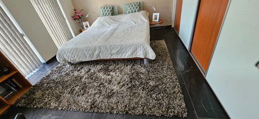 Beautiful Carpet Brand Lifestyle