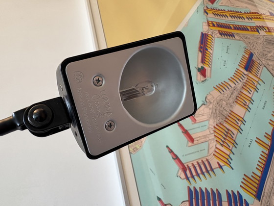 Image 1 of Lumina Daphine Terra Classic Black