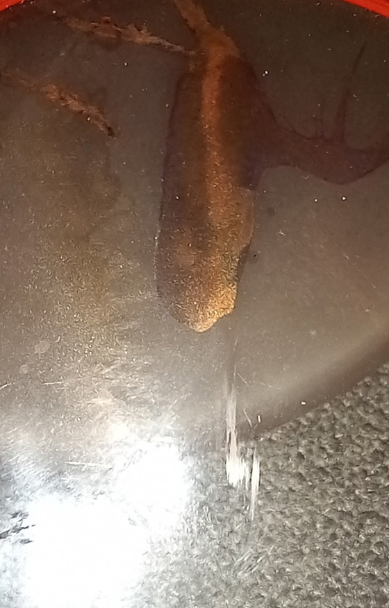 Image 1 of Pair of large vintage flute candlesticks (circa 1985-1990) from the famous art crystal factory Pădurea Neagră
