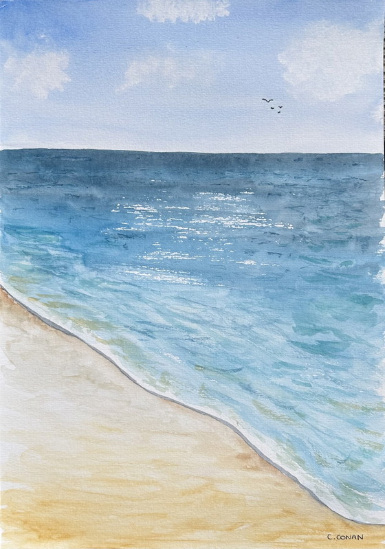 Aquarel zeevogels – Schilderijen & Tekeningen, Paper (photo 2 of 5)