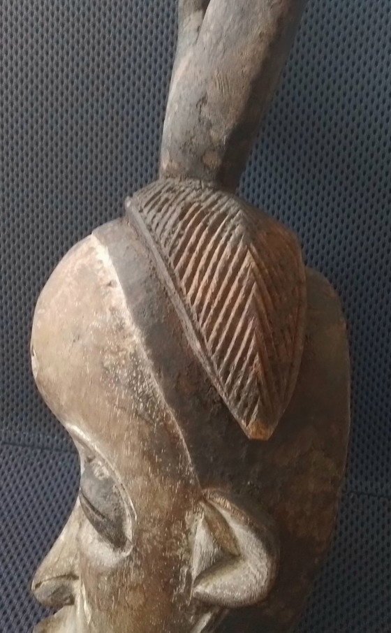 Image 1 of Masker Lumbo 