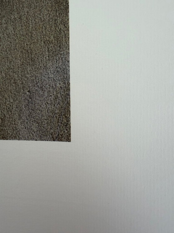 Image 1 of Domenico Gnoli (1933-1970), Girocollo 15 1/2, 1966, copyright Marzia Gnoli, 1994... Printed in the Netherlands, Large format