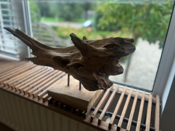 * Uniek Stuk Driftwood, Drijfhout, Teak Wortel Haai – Decoratieve objecten (photo 8 of 9)