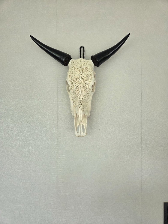 Image 1 of Hand-Carved Cow Skull – Unique Fern Motif (Boho-Ibiza)