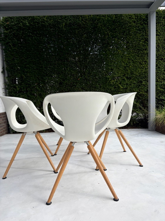 Tonon Design Esszimmerstühle – Metall, Kunststoff (photo 9 of 10)