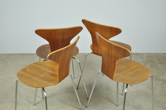 Image 1 of Fritz Hansen / Vintage Mosquito Dining Chairs / Arne Jacobsen / 1960S Denmark