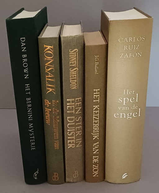Dekorative niederländischsprachige Bibliothek | Zafón & Dan Brown + 3 Romane | 052