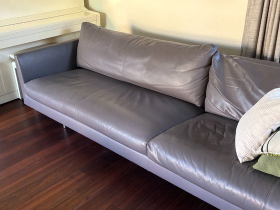 Taupe Ledersofa, Montis Axel, Sofagarnitur, Metall, Grau, Modern (Foto 3 von 5)