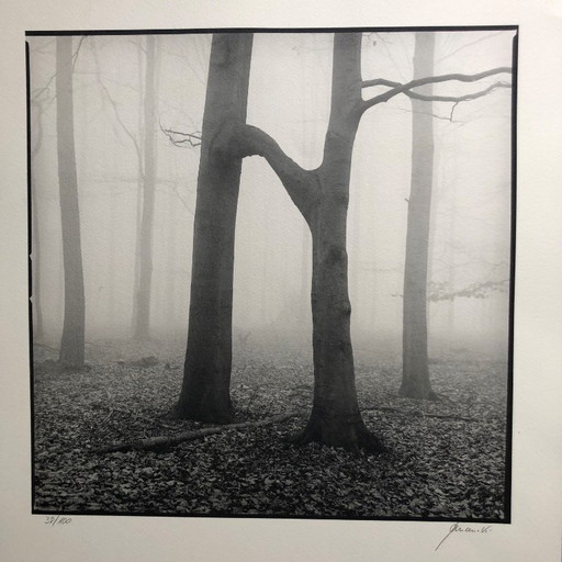 Stampa fotografica firmata Ralph Janowski 38/100