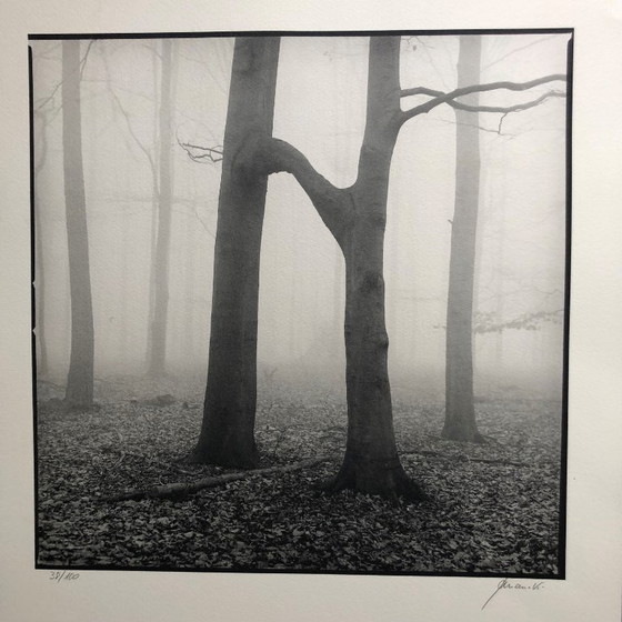 Image 1 of Stampa fotografica firmata Ralph Janowski 38/100