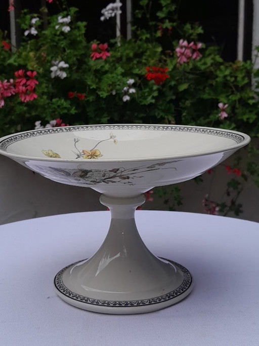 Piatto tazza vittoriano antico. Brown-Westhead, Moore & Co.