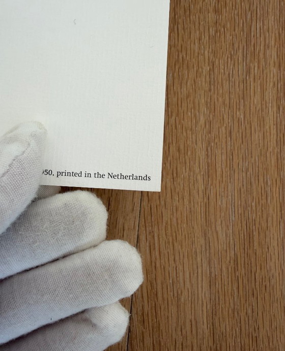 Image 1 of Domenico Gnoli (1933-1970), Girocollo 15 1/2, 1966, copyright Marzia Gnoli, 1994... Printed in the Netherlands, Large format