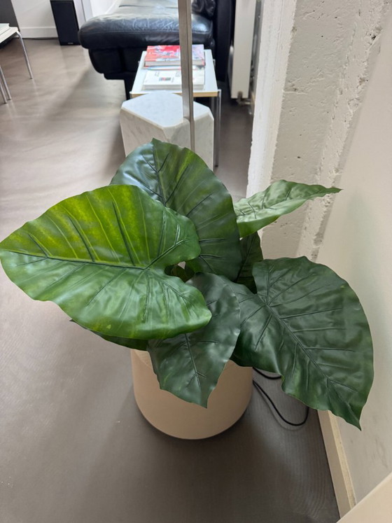 Image 1 of Pot de fleurs Calun Kave Home.
