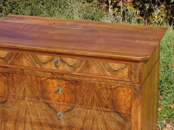 Image 1 of Commode Louis Philippe en noyer et ronce de noyer