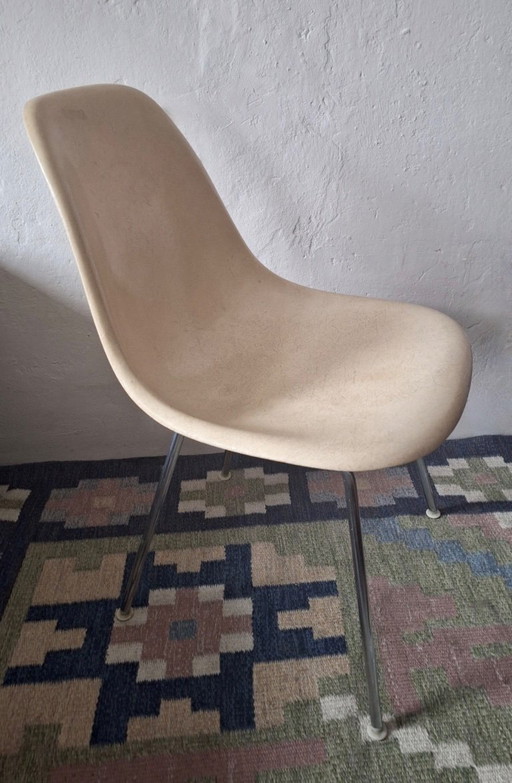 Früher DSX-Fiberglasstuhl von Charles & Ray Eames für Herman Miller, 1950er Jahre